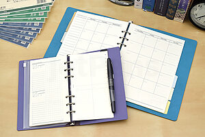Raymay Davinci Refill Pages